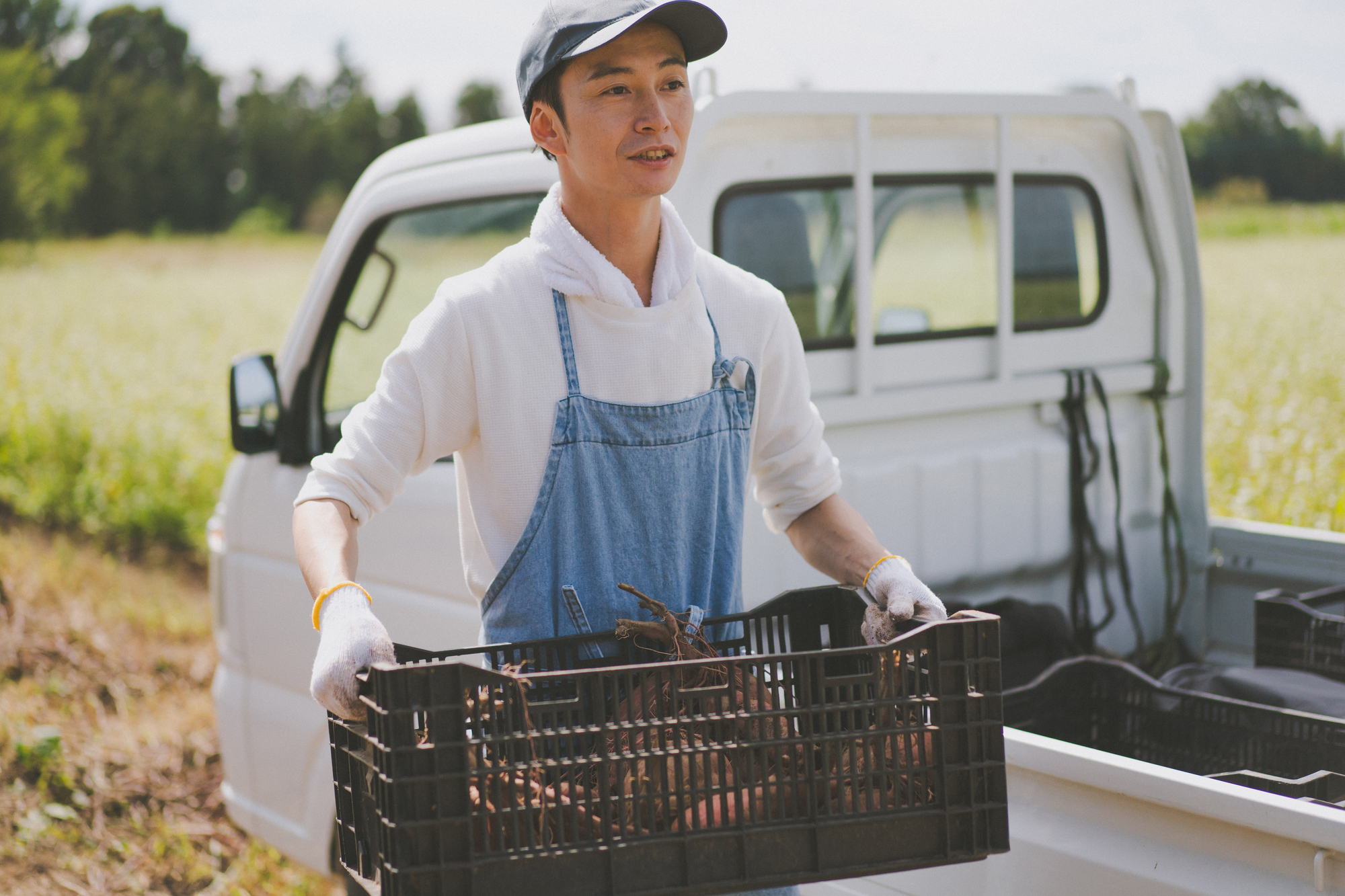 野菜管理システムの導入前に押さえるべき課題
